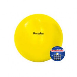 BOLA GYNASTIC BALL 45CM C/DVD DE EXERCÍCIOS - CARCI